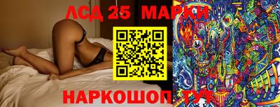 прущие грибы Будённовск