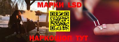прущие грибы Будённовск