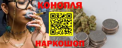 прущие грибы Будённовск