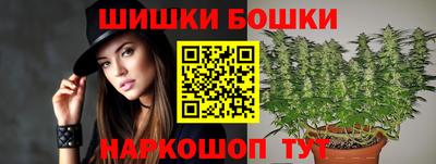 прущие грибы Будённовск