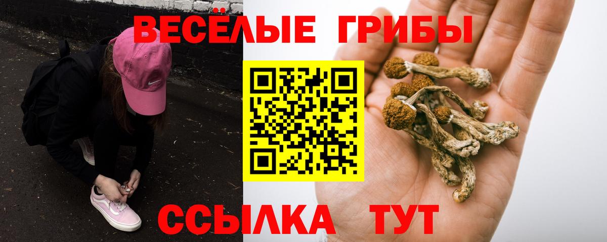 Псилоцибиновые грибы мухоморы  Вход с VPN  Светлоград 